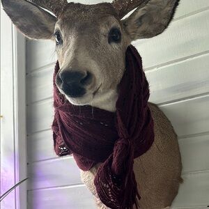 Cozy Red Scarf Winter Wrap Accessory